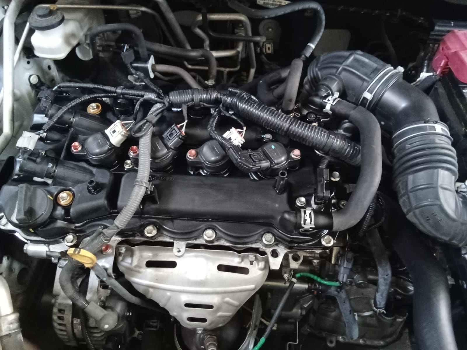 Pembersihan Jamur Kaca